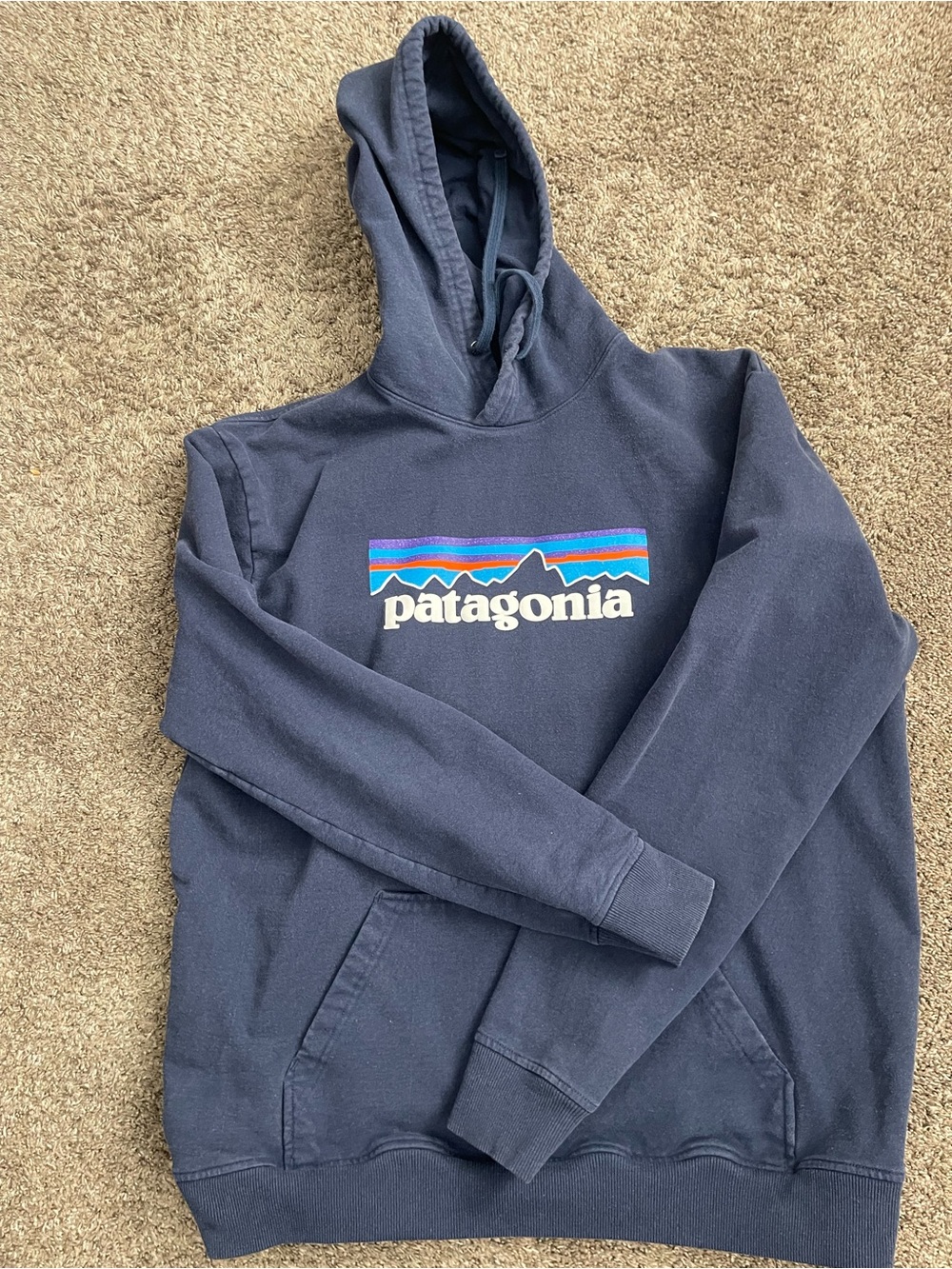 Patagonia navy Hoodie with Multicolor Logo Accent